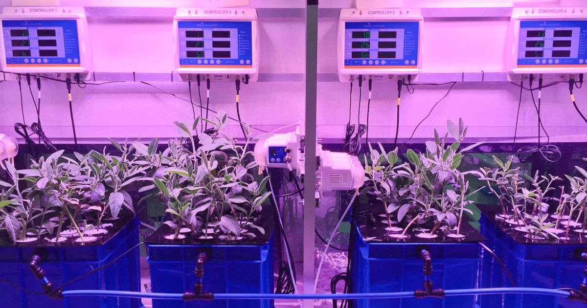 植矿电池金属