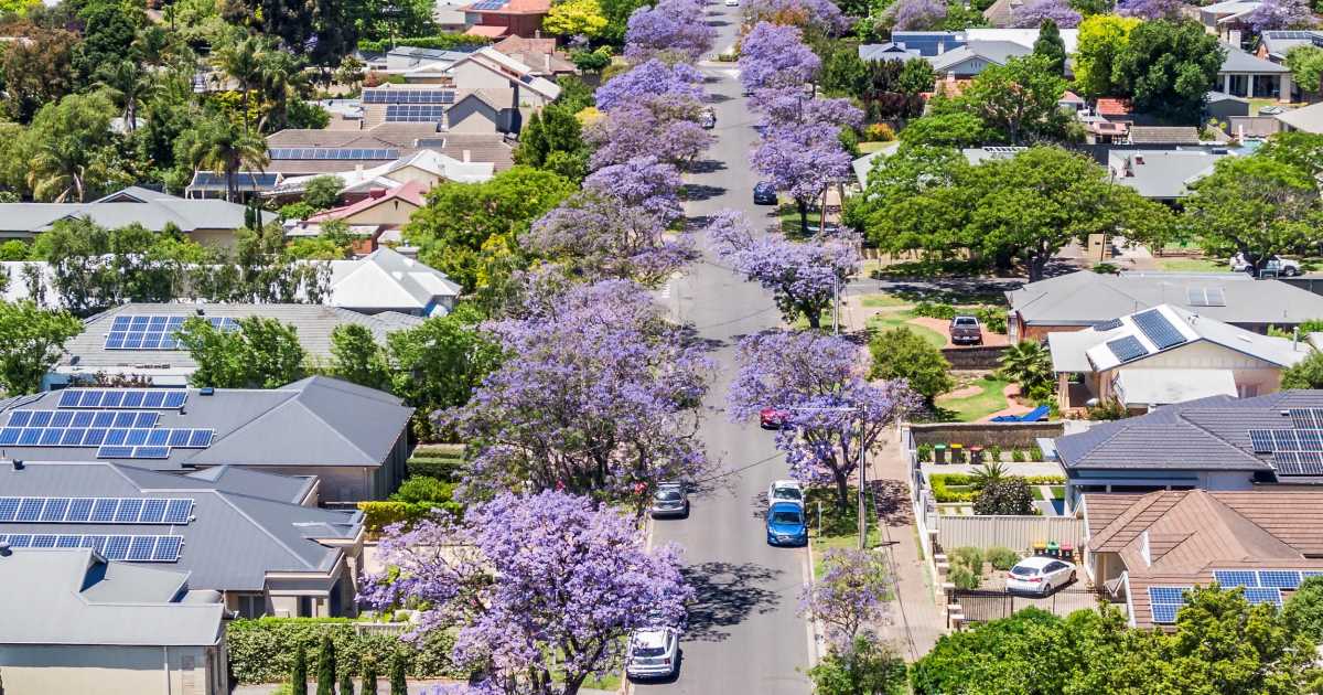 节能住宅——澳大利亚